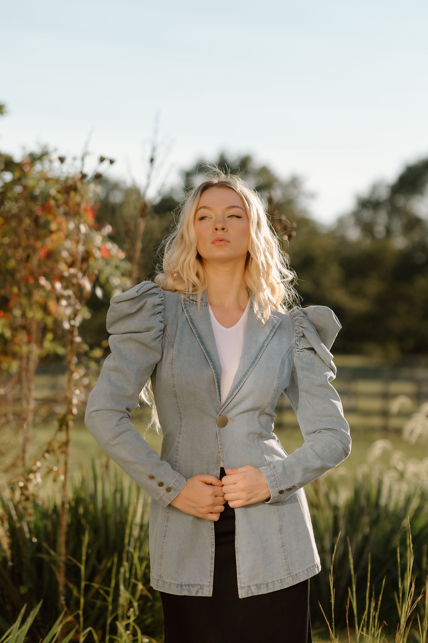 Power Blazer