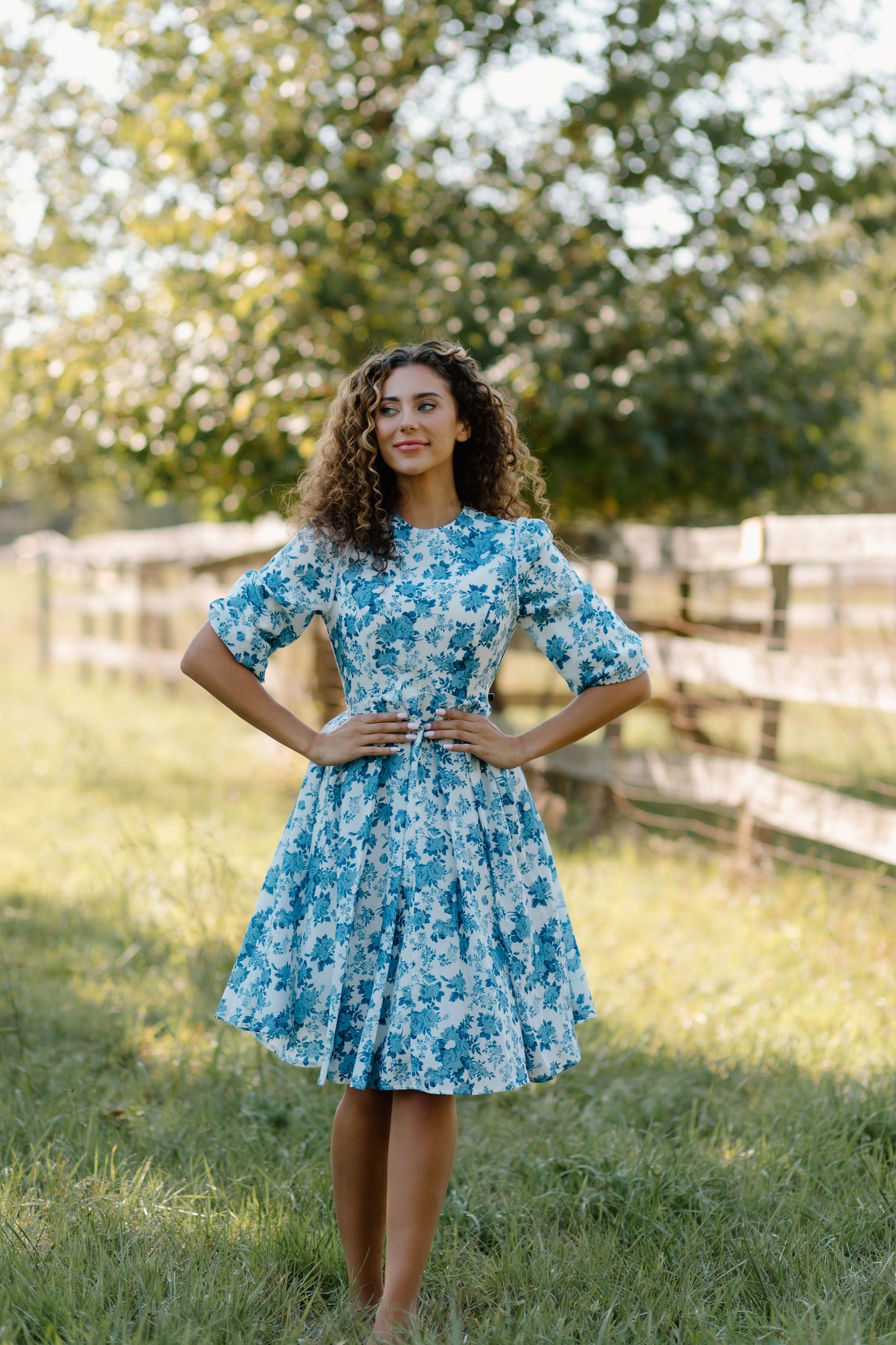 Empire Blue Floral Dress